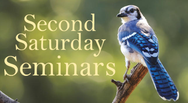 Second Saturday Seminars