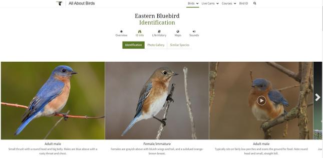 Wild Birds Unlimited - Nature Shop